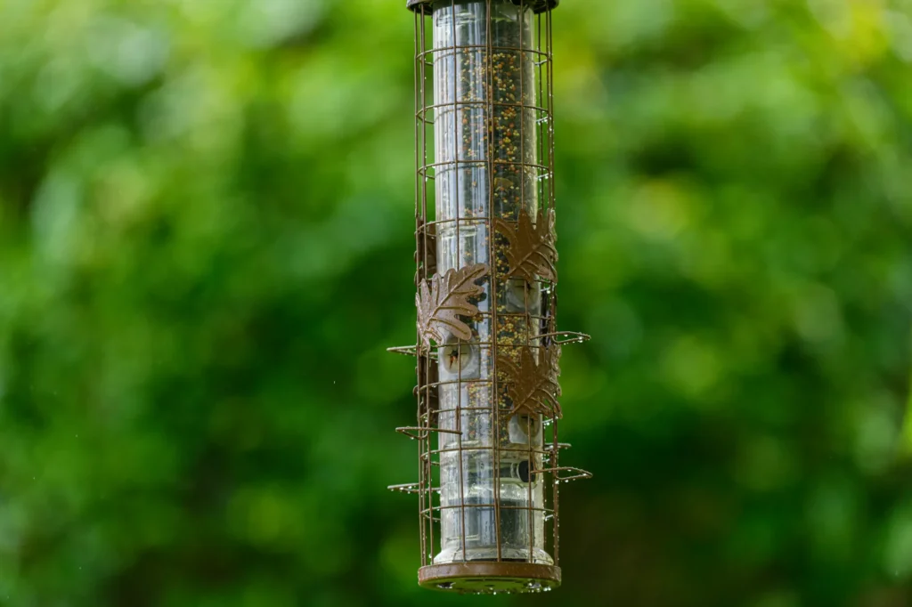 A metal bird feeder filled with seeds hanging in a lush garden setting.