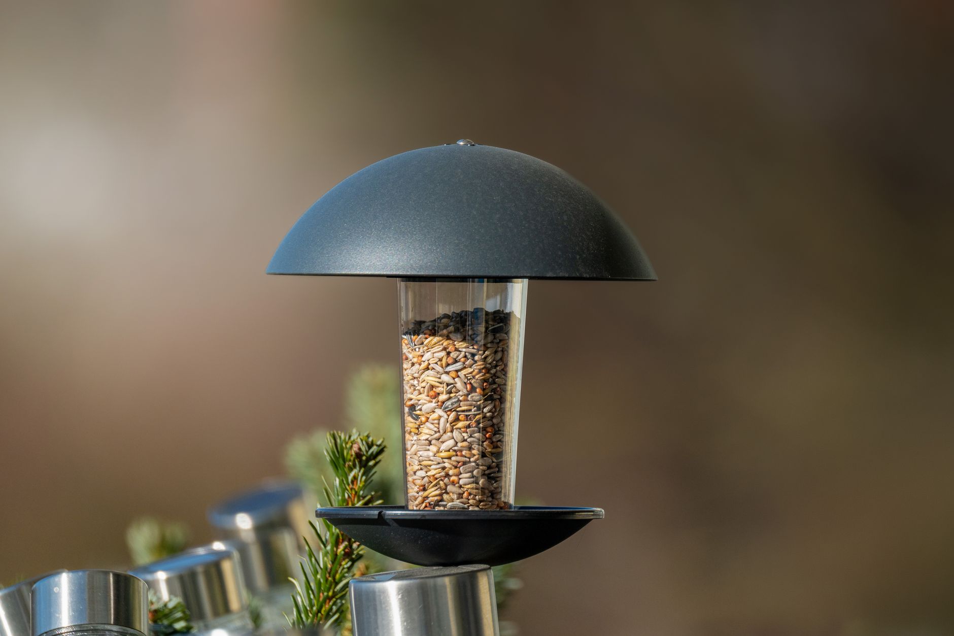 Close-up of a sleek bird feeder filled with seed mixture, set in a garden.